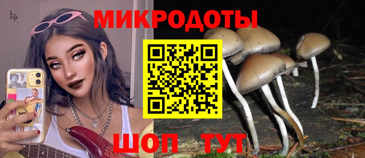 Псилоцибиновые грибы GOLDEN TEACHER  Вход с VPN  Псилоцибиновые грибы мухоморы  Миасс 